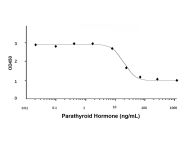 Recombinant Human Parathyroid Hormone Protein(Active)