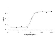 Recombinant Human Epigen Protein(Active)