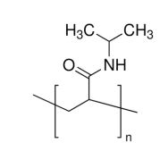 聚N-异丙基丙烯酰胺