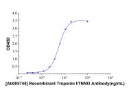 Recombinant Troponin I/TNNI3 Antibody