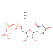 尿苷-5′-三磷酸酯 三钠盐 水合物