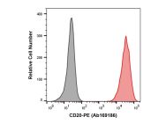 Recombinant CD20 Antibody (PE)