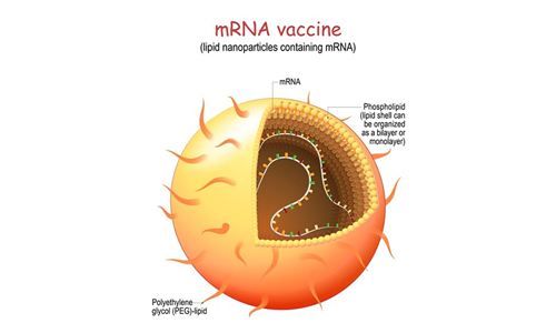 mRNA 疫苗相关原材料