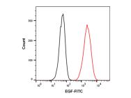 Recombinant Human EGF Protein (FITC)(Active)