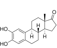 2-羟基雌酮