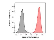 Recombinant CD20 Antibody (APC)