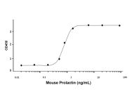 Recombinant Mouse Prolactin Protein(Active)
