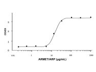 Recombinant Human ARMET/ARP Protein(Active)