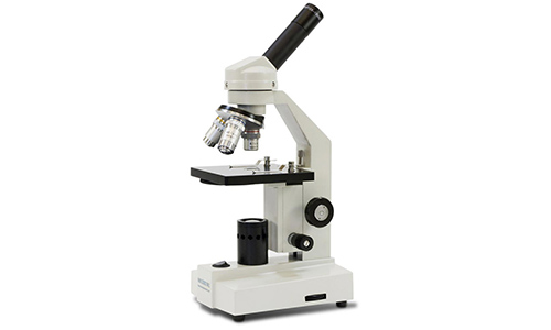 显微镜和显微镜载玻片