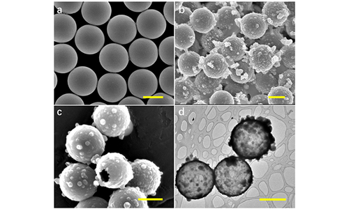聚合物微球和纳米粒子