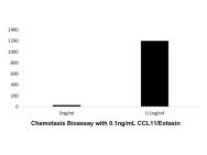 Recombinant Human CCL11/Eotaxin Protein(Active)