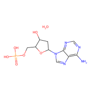 2'-脱氧腺苷5'-一磷酸一水合物