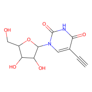 5-乙炔基尿苷(5-EU)