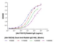 Goat Anti-Rabbit IgG H&L (Biotin)