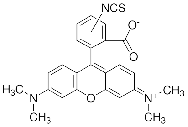 四甲基罗丹明-5(6)-异硫氰酸酯