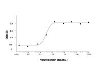 Recombinant Human Neuroserpin Protein(Active)