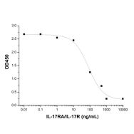 Recombinant Human IL-17RA/IL-17R Protein(Active)