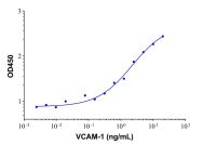Recombinant Human VCAM1 Protein(Active)
