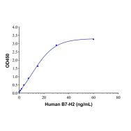 Recombinant Human B7-H2 Protein(Active)
