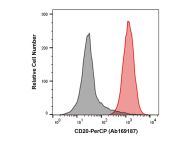 Recombinant CD20 Antibody (PerCP)