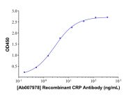 Recombinant CRP Antibody