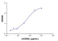 Recombinant Mouse L-Selectin/CD62L Protein(Active)