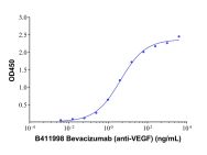Bevacizumab (anti-VEGF)