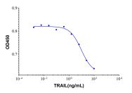 Recombinant Human TRAIL Protein(Active)