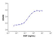 Recombinant Human EGF Protein(Active)