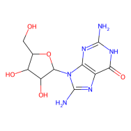 Trastuzumab (anti-HER2)
