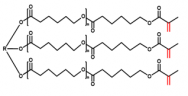 甲基丙烯酰化聚己内酯三元醇